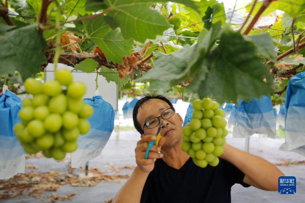 盛世游戏在线玩